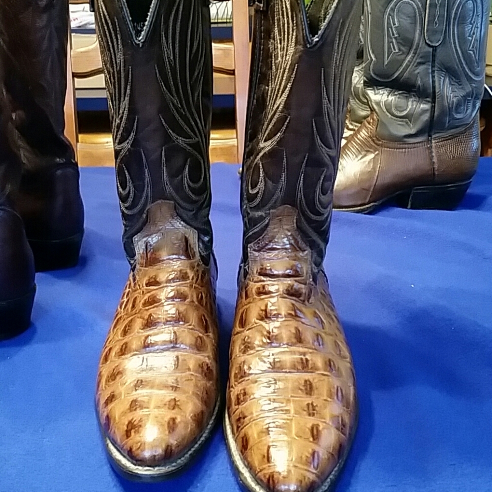 Dark brown with snake skin cowboy boots